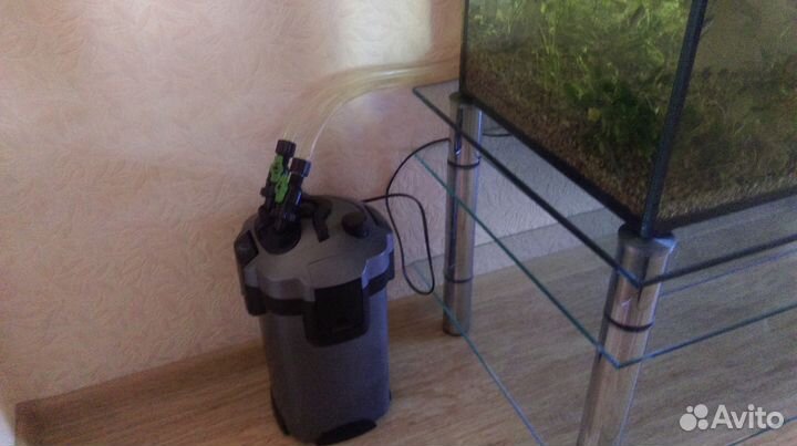 Аквариум. Рыбки. Растения