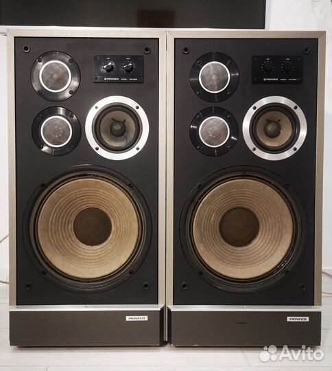 Pioneer cs-f900