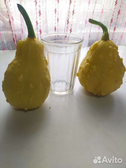 Тыква декоративная