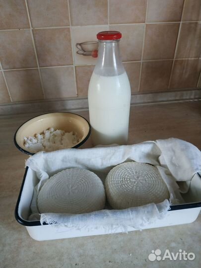 Козье молоко, козий сыр, творог