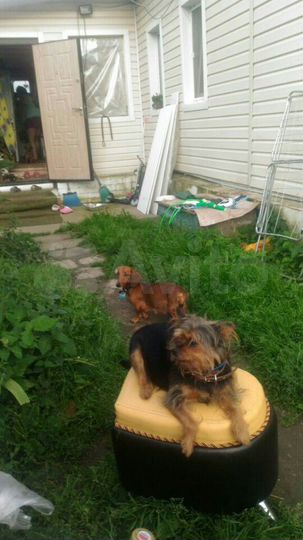 Дом 45 м² на участке 4 сот.