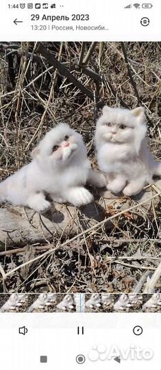 Реалистичные игрушки по вашим фотографиям