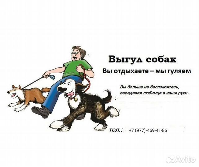 Выгул собак