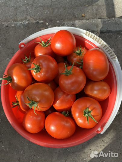 Помидоры,огурцы