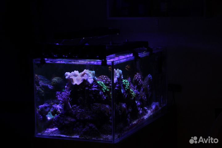 Морской аквариум полный комплект