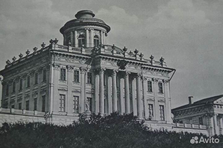 Репродукция 