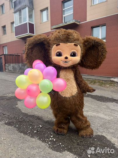 Экспресс-поздравление Чебурашка, ростовые куклы