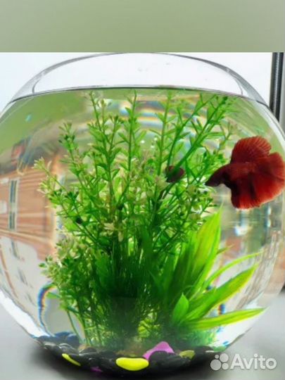 Аквариум бокал 7л и шар