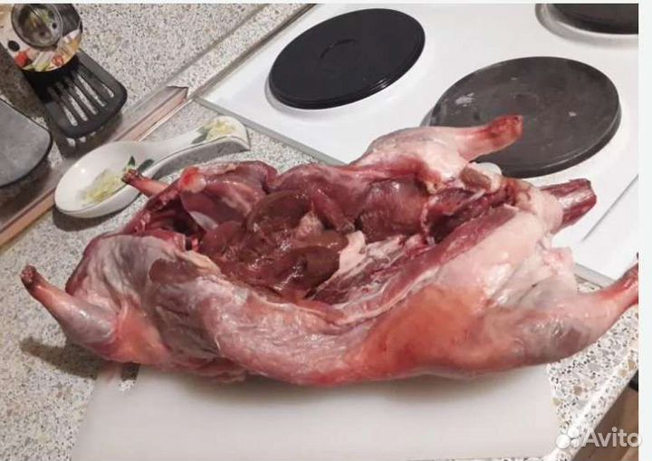 Мясо нутрии