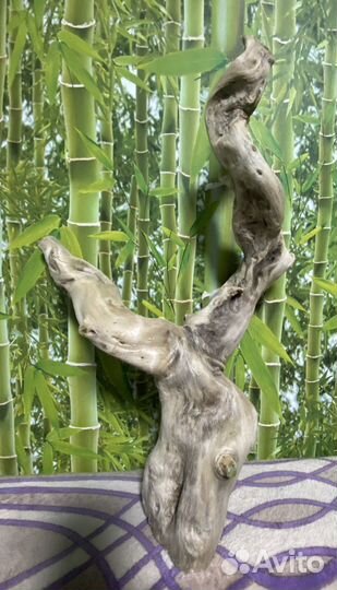 Коряга для декора дрифтвуд 60/30/10