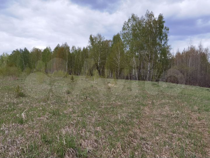 Участок 8 сот. (ИЖС)