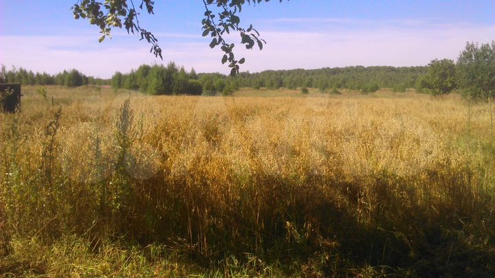 Участок 21 сот. (ИЖС)