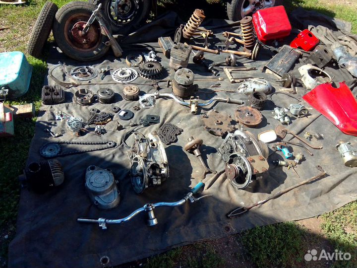 На мотороллер муравей