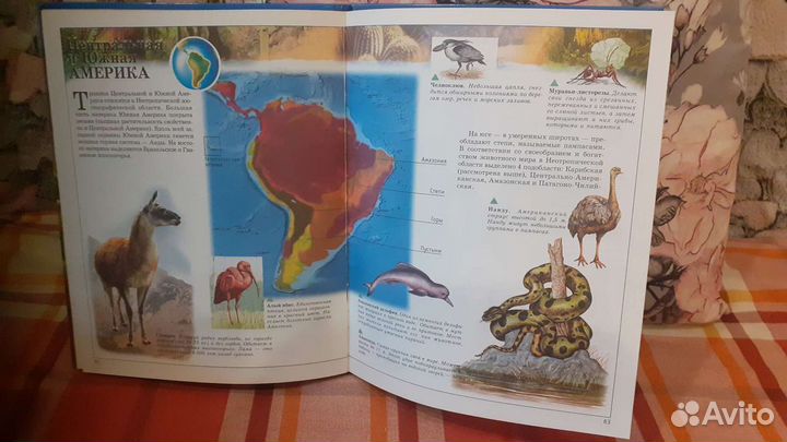 Книга Атлас животного мира