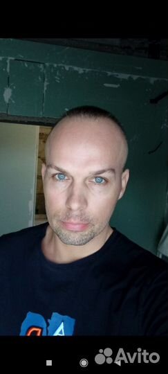 Собеседник собутыльник друг он-лайн