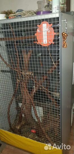 Шкаф для грызунов(белка и др)