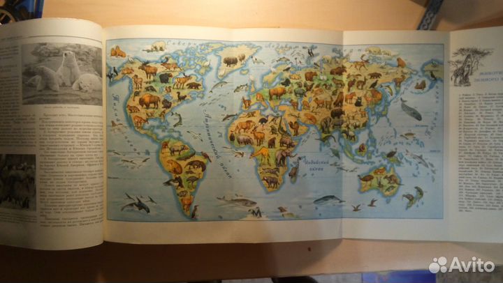 Детская энциклопедия