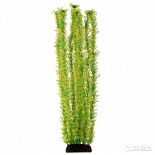 5573P Растение пласт 55см жёлто-зелёное Амбулия 4