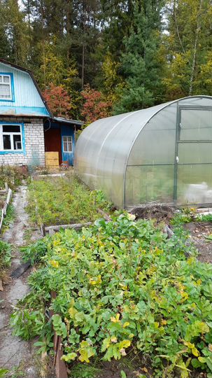 Участок 4,5 сот. (СНТ, ДНП)