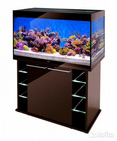 Новые аквариумы