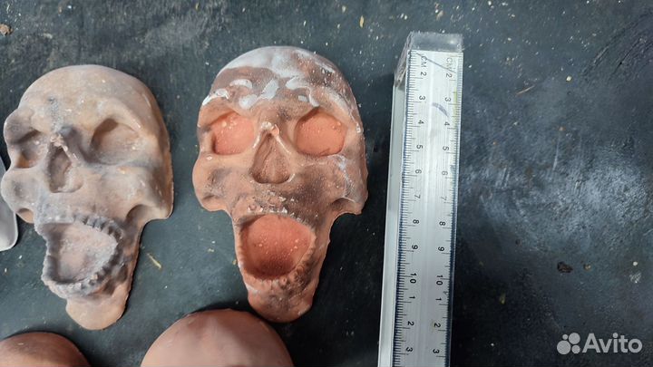 Череп из гипса