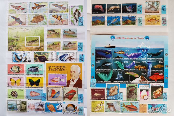 Марки. Рыбы. Набор 2