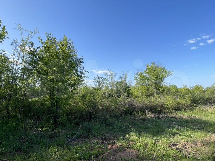 Участок 10 сот. (СНТ, ДНП)