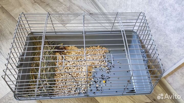 Клетка для грызунов