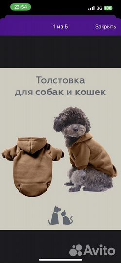 Толстовка, худи для собак XS