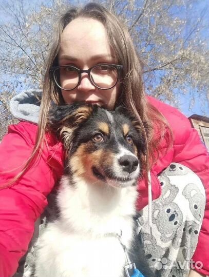 Кинолог зоопсихолог