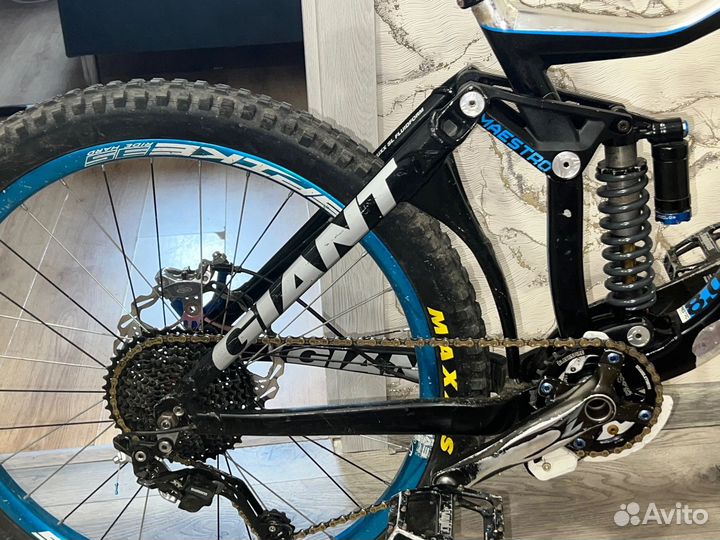 Giant glory 2014 World Cap