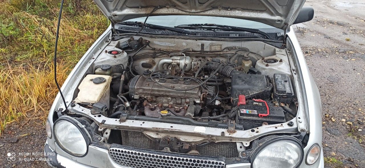 Toyota Corolla: фото владельца