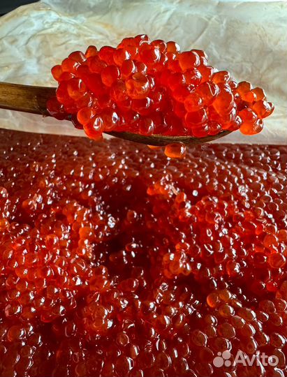 Красная икра опт