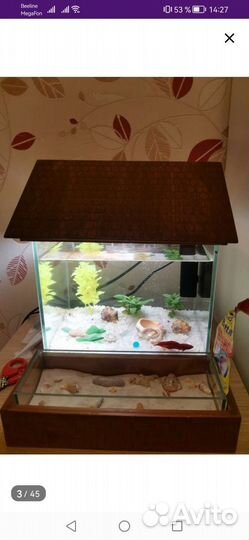 Аквариум