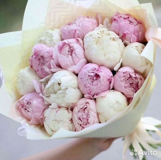 Пионы Букет пионов