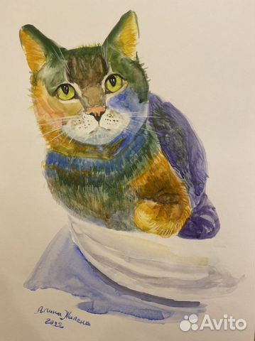 Кот картина