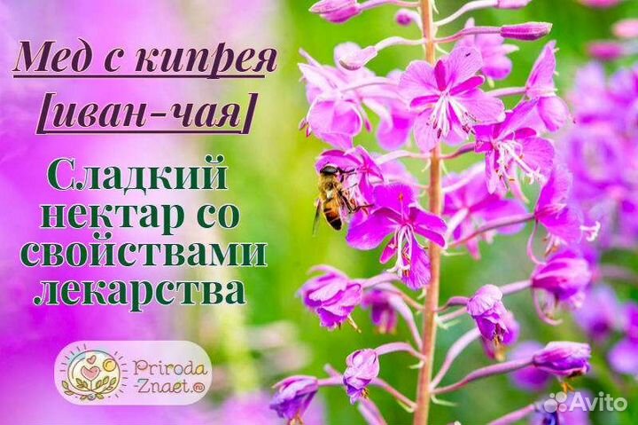 Мёд разнотравье