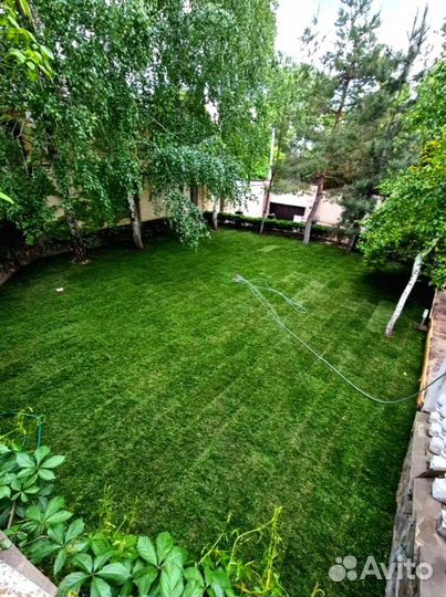 Рулонный газон