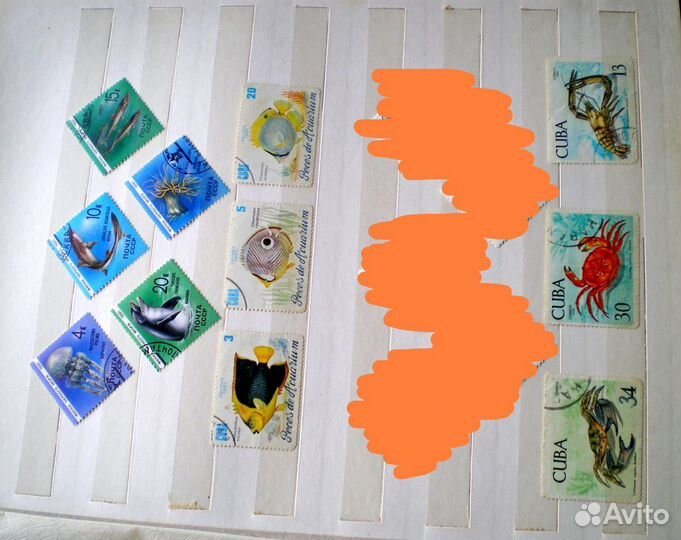 Марки морская Фауна Куба и СССР
