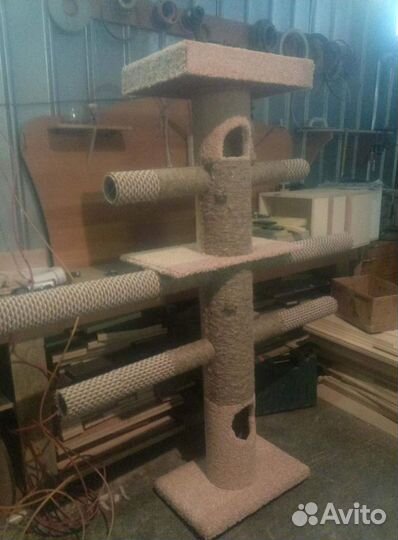 Кошачий дом 