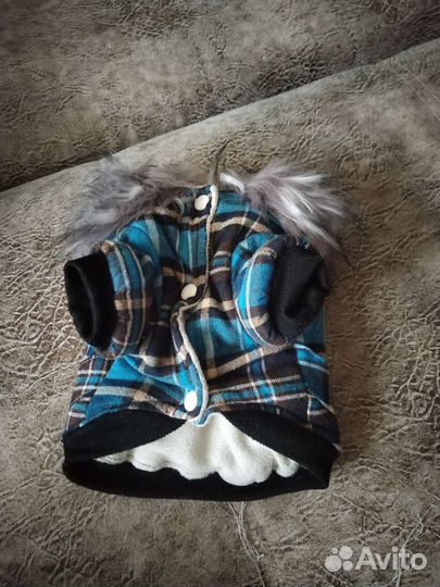 Вещи для маленьких собак