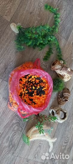 Для аквариума