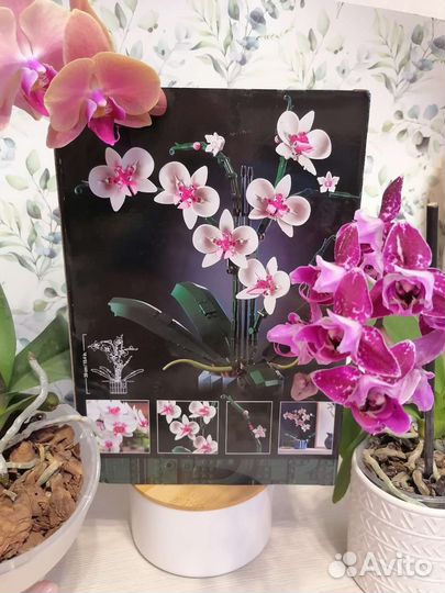 Конструктор Botanical Collection Orchid