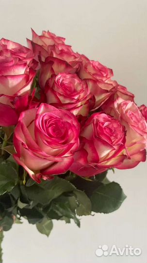 Цветы розы букет