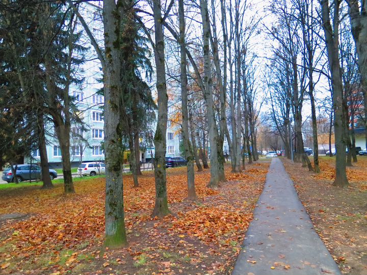 Квартира-студия, 14,6 м², 1/9 эт.