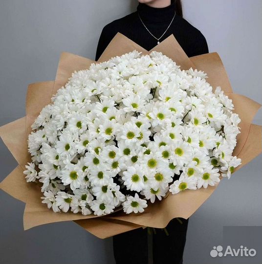 Хризантема Доставка цветов