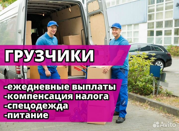 Грузчик. Код:rc298