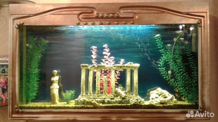 Обслуживание аквариумов,терра ремонт светильников