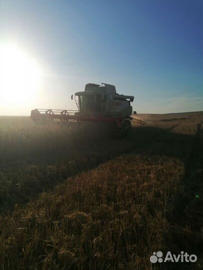 Услуги по уборке урожая на 2023г