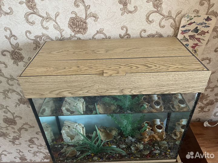 Аквариум 60л 0,60 x 0,28 x 0,53(м)